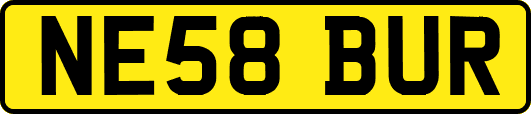 NE58BUR