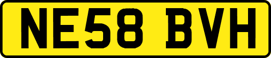NE58BVH