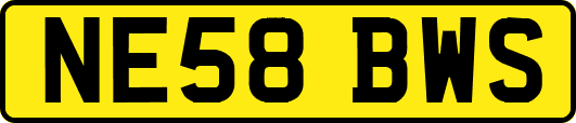 NE58BWS