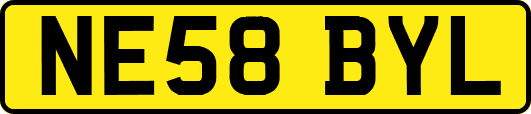 NE58BYL