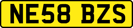 NE58BZS