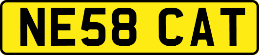NE58CAT