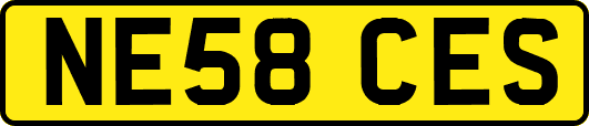 NE58CES