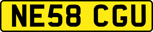 NE58CGU