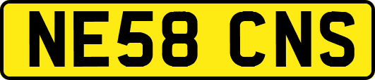 NE58CNS
