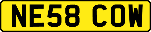 NE58COW