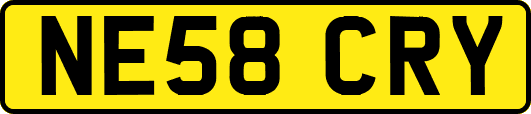 NE58CRY