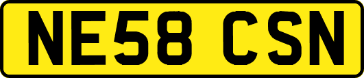 NE58CSN