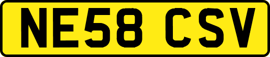 NE58CSV