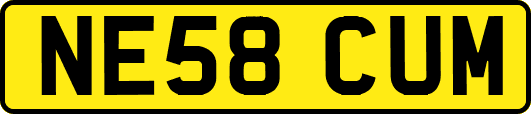NE58CUM