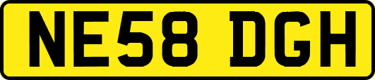 NE58DGH