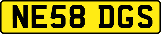 NE58DGS