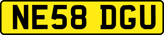 NE58DGU