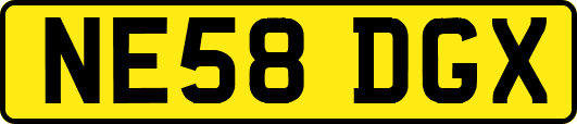 NE58DGX
