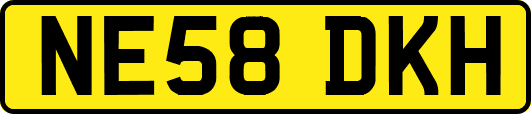 NE58DKH