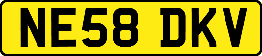 NE58DKV