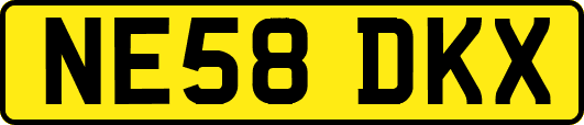 NE58DKX