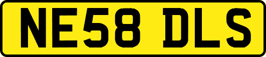 NE58DLS