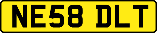 NE58DLT