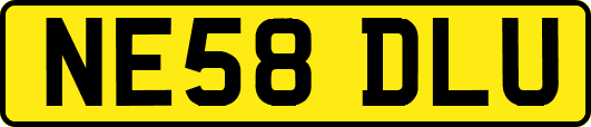 NE58DLU