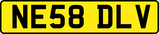 NE58DLV