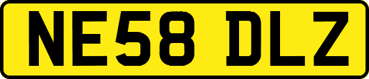 NE58DLZ