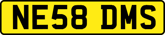 NE58DMS