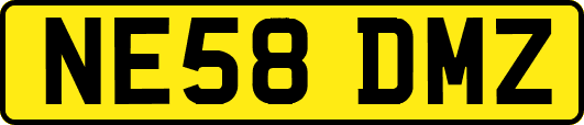 NE58DMZ