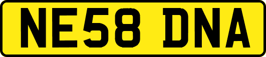 NE58DNA