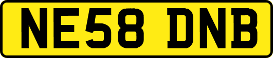 NE58DNB