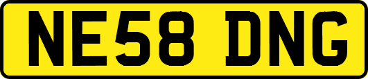 NE58DNG