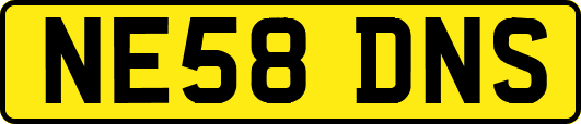 NE58DNS