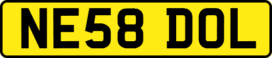 NE58DOL