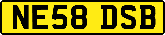 NE58DSB