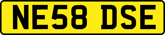 NE58DSE