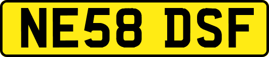 NE58DSF