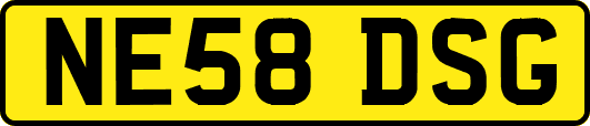NE58DSG