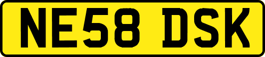 NE58DSK