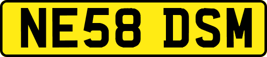 NE58DSM