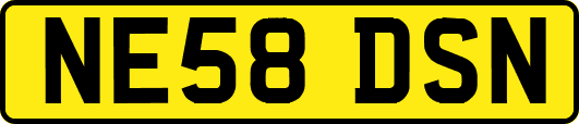 NE58DSN