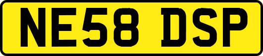 NE58DSP