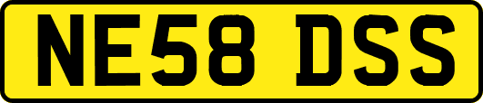 NE58DSS