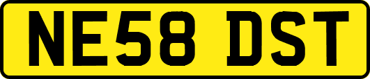 NE58DST