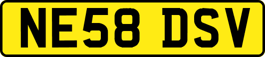 NE58DSV