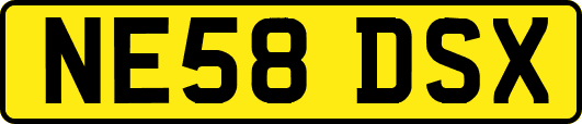 NE58DSX