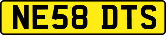 NE58DTS
