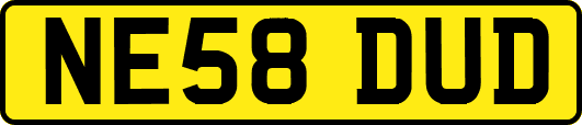 NE58DUD