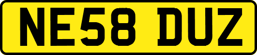 NE58DUZ