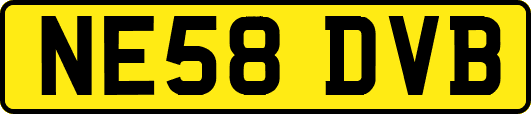 NE58DVB