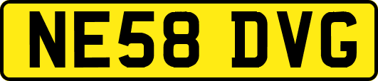 NE58DVG
